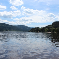 Urlaub im Schwarzwald (16)